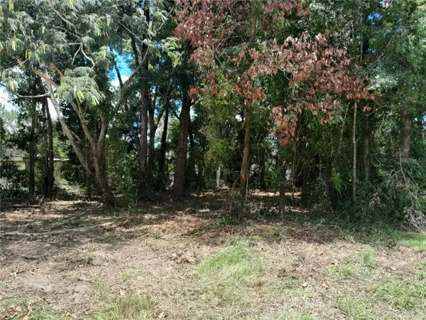 Williston, FL 32696,tbd NE 48TH ST