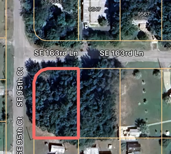 TBD SE 163RD LN, Summerfield, FL 34491