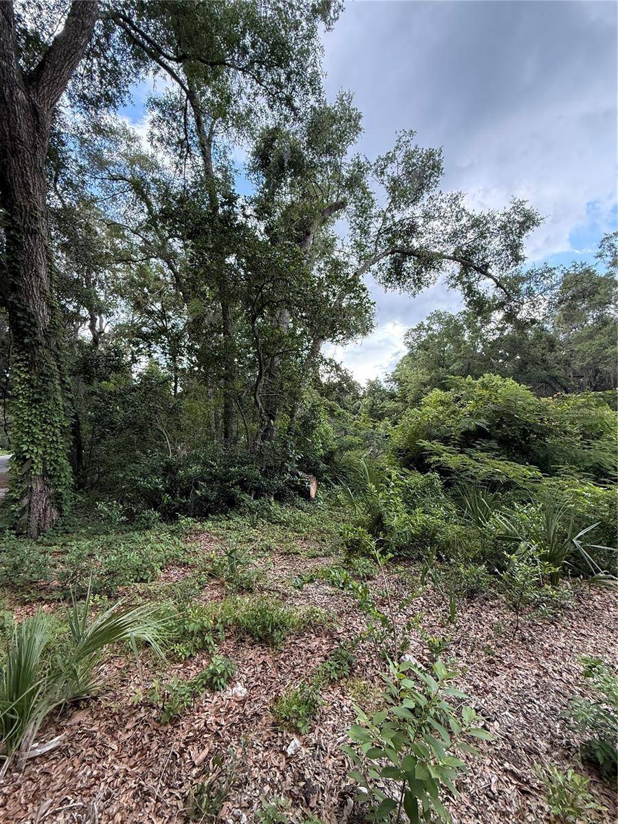 Palatka, FL 32177,4117 SILVER LAKE DR