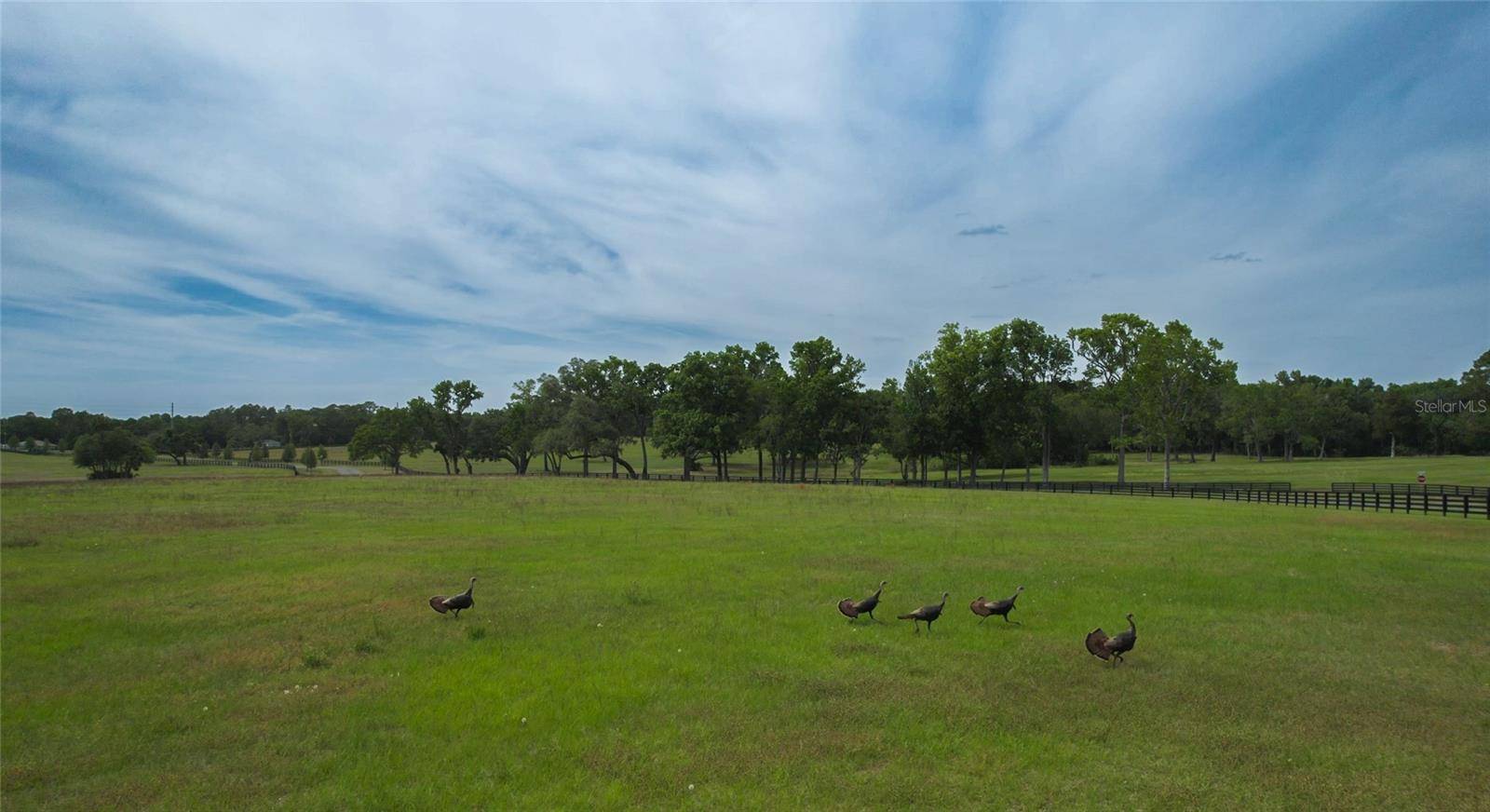 Ocala, FL 34481,13381 W HWY 40 (LOT 6)