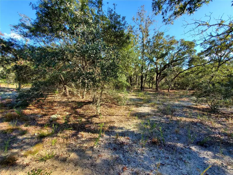 Lot 4 SW PARADISE HEIGHTS RD, Dunnellon, FL 34432