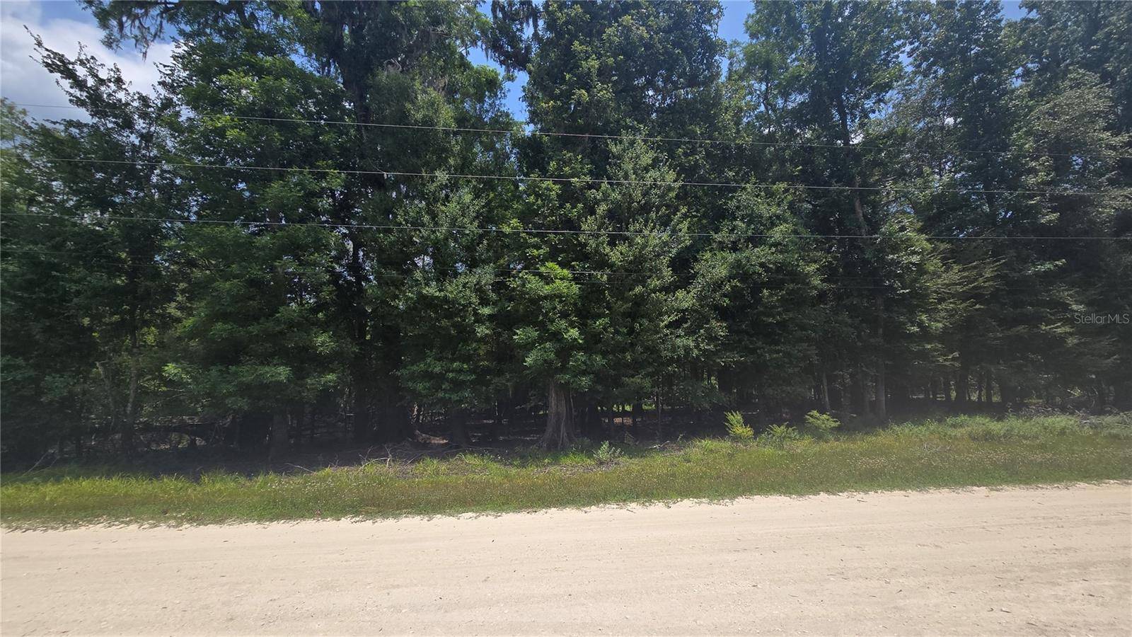 Bell, FL 32619,SW 47TH LN