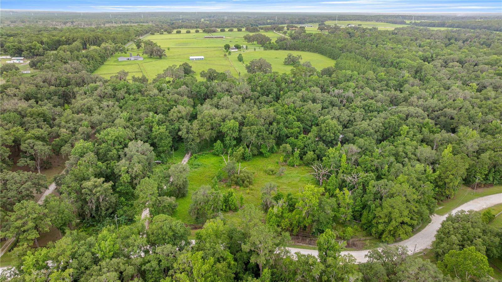 Reddick, FL 32686,12290 NW 168TH PL