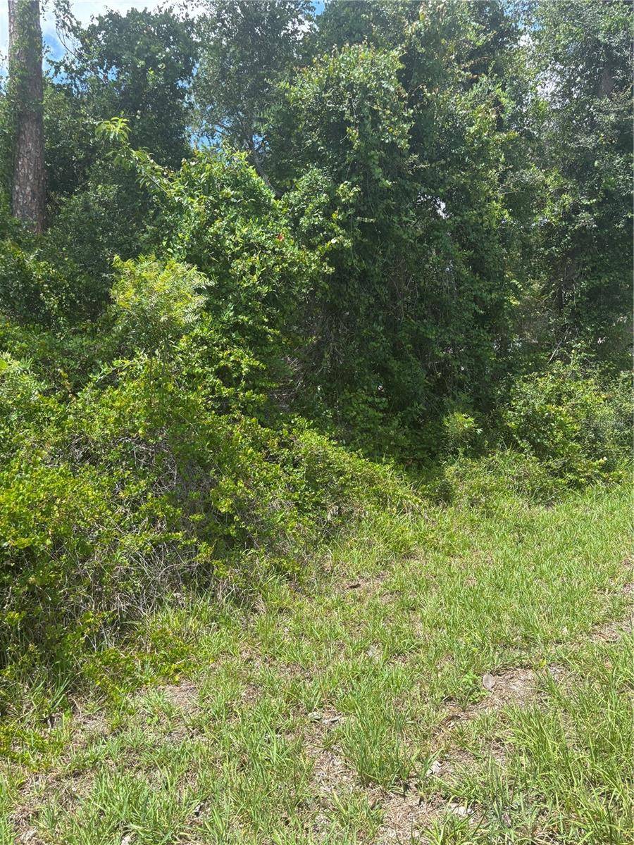 00 SE 186TH CT, Ocklawaha, FL 32179