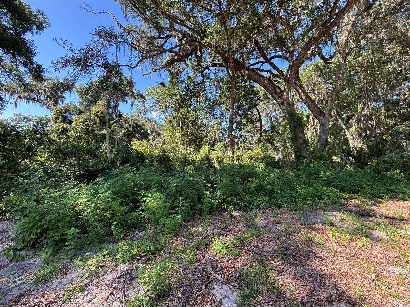 Anthony, FL 32617,14155 NE 47TH AVE