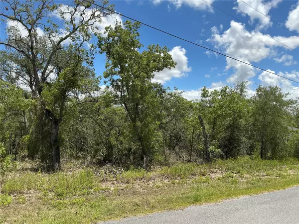 Weeki Wachee, FL 34614,13022 JAYWALK RD