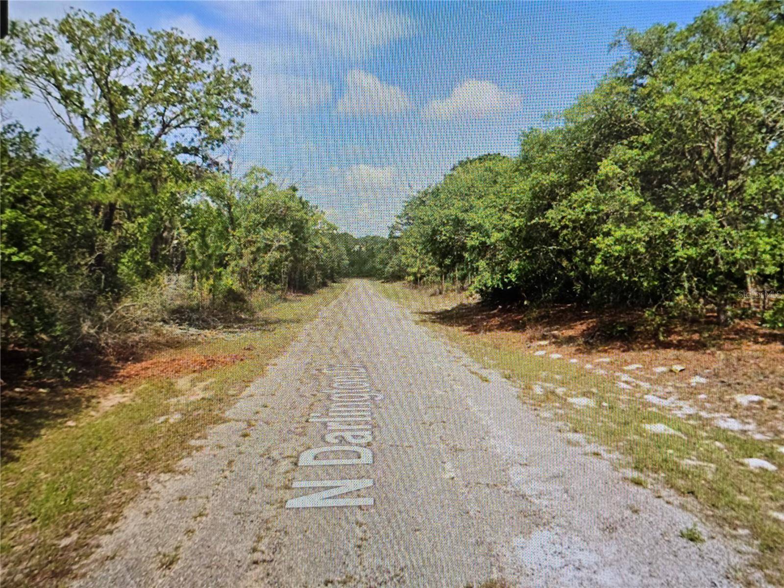 Dunnellon, FL 34434,6745 N DARLINGTON DR