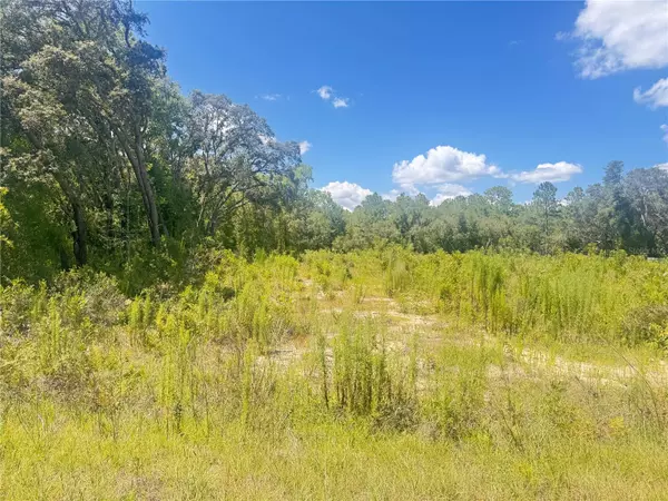 TBD SW 91 LN, Dunnellon, FL 34432