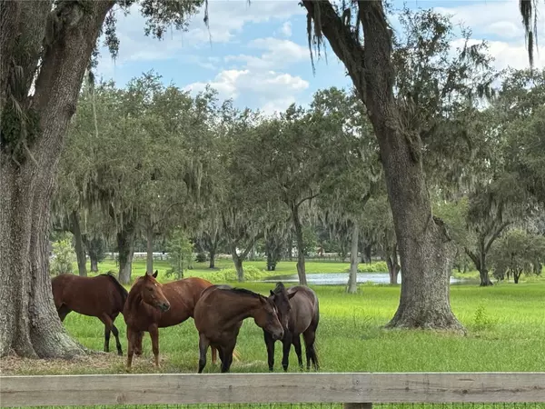 Summerfield, FL 34491,TBD SE 157TH STREET RD