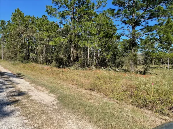 Dunnellon, FL 34431,LOTS 16 & 17 SE 130 CT