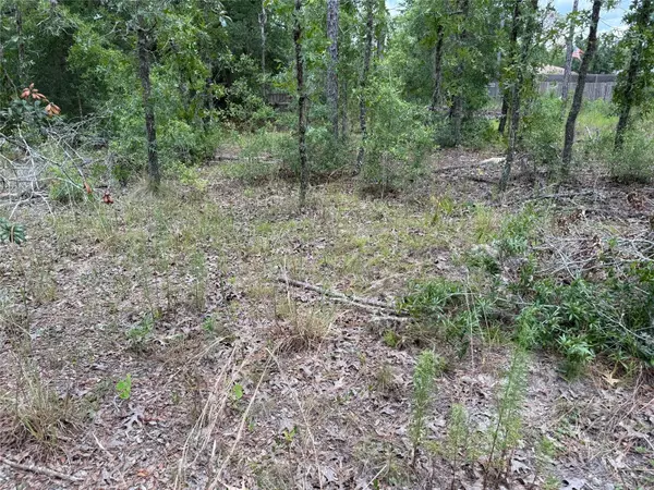 Ocala, FL 34481,TBD SW 141ST TER