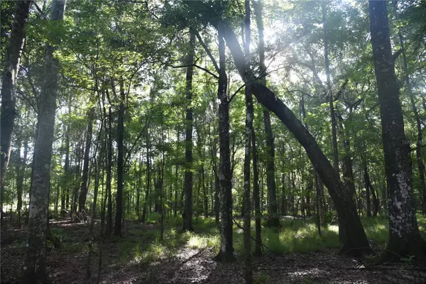 Gainesville, FL 32609,OFF NE 67 TH AVE