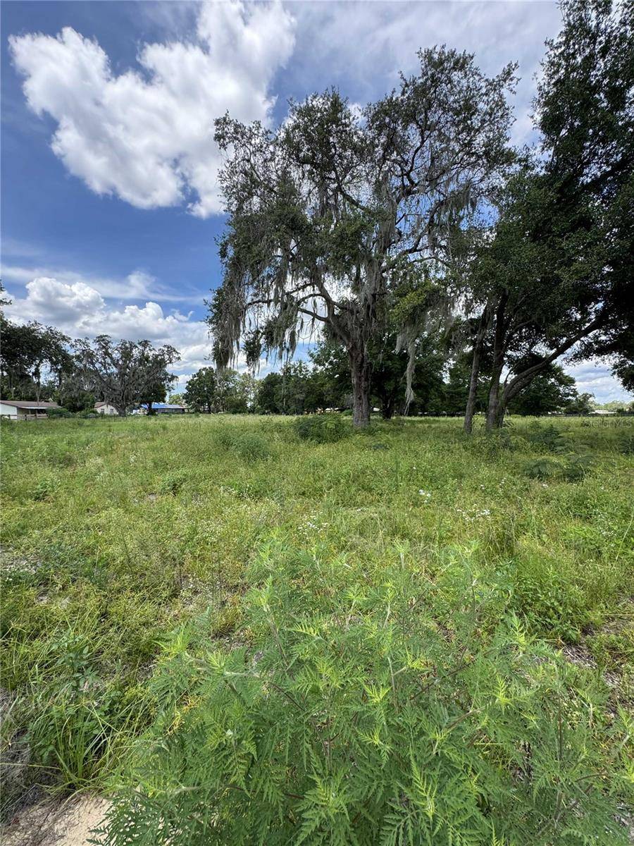 Ocala, FL 34476,8640 SW 73RD AVE