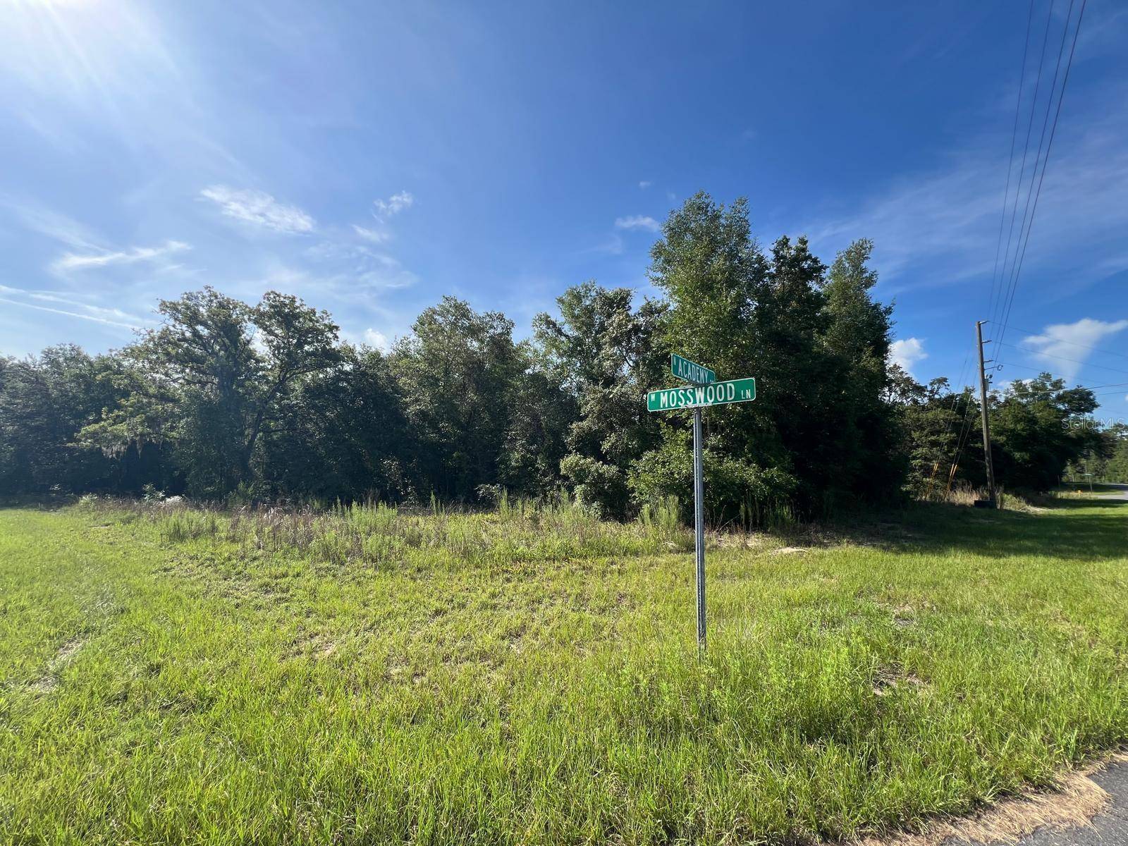 1425 W MOSSWOOD LN, Citrus Springs, FL 34434