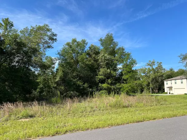 Citrus Springs, FL 34434,1425 W MOSSWOOD LN