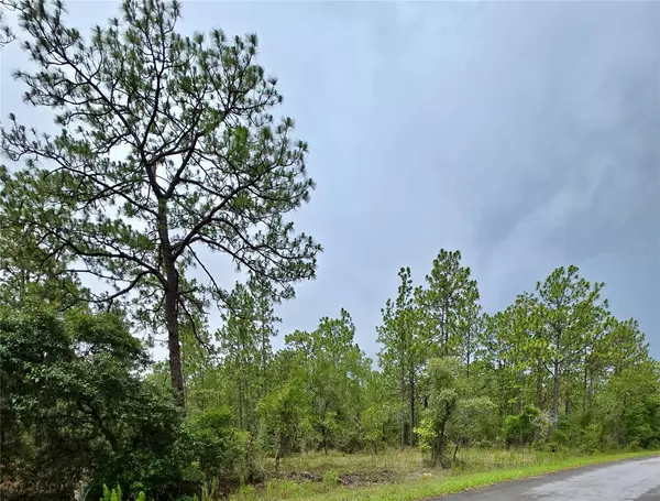 0 NW WATER OAK AVE,  Dunnellon,  FL 34431