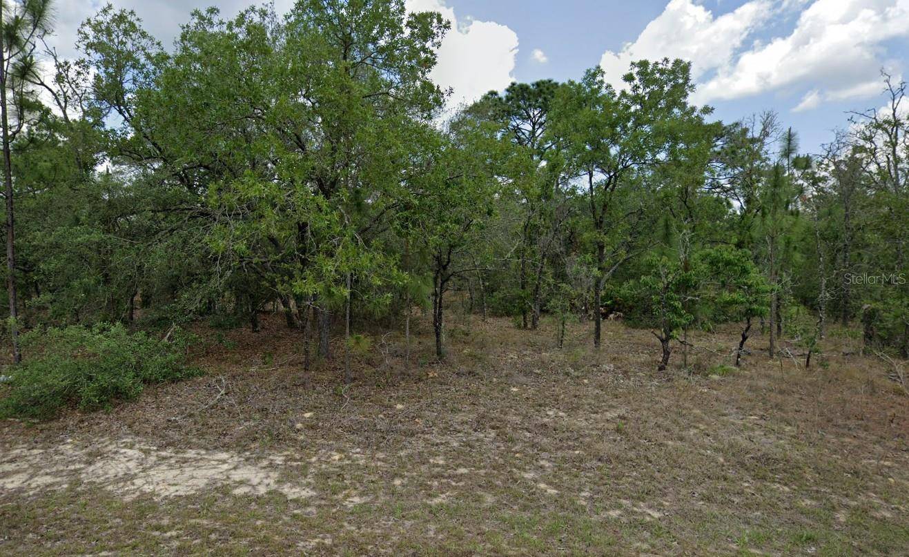 Dunnellon, FL 34433,3593 W WHIPPLE LN