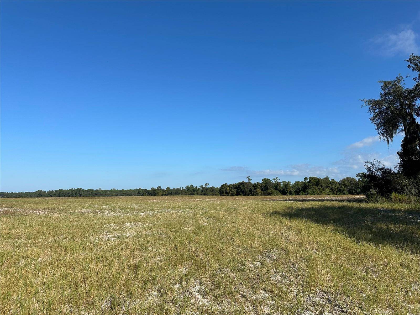 Citra, FL 32113,Lot 2 - 10.75ac E HWY 318