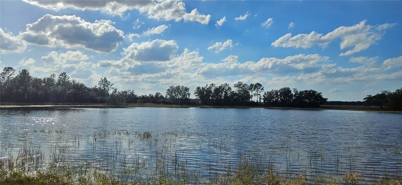 Lot 4 - 12.38ac E HWY 318, Citra, FL 32113