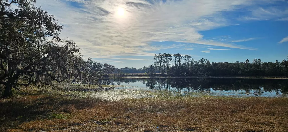 Citra, FL 32113,Lot 4 - 12.38ac E HWY 318