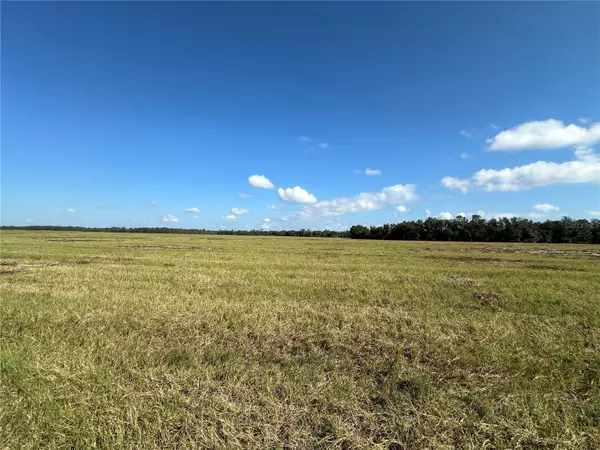 Citra, FL 32113,Lot 4 - 12.38ac E HWY 318