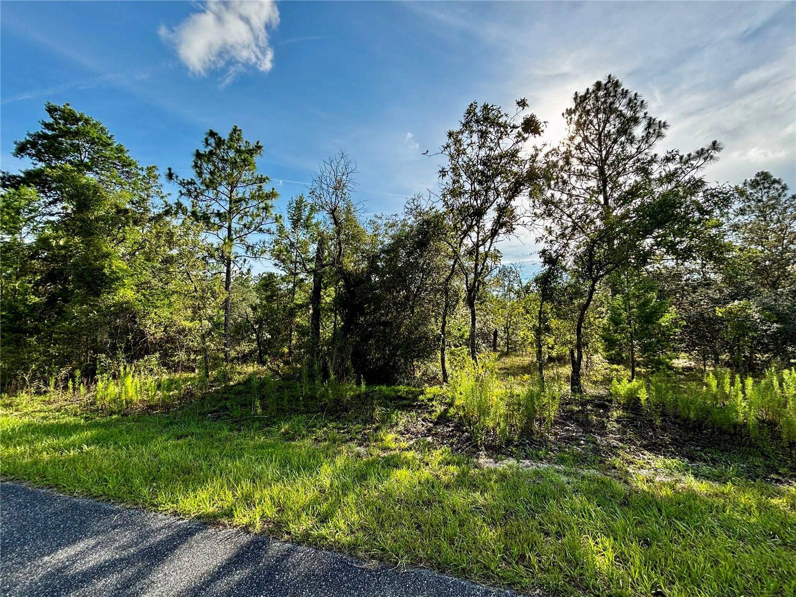Lot 24 SE 136 TER, Dunnellon, FL 34431