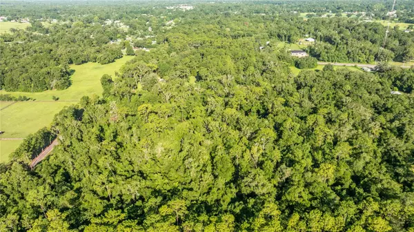 Ocala, FL 34479,4701 NE JACKSONVILLE RD