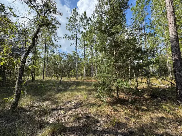Dunnellon, FL 34431,Lot #7 NW LUNA AVE