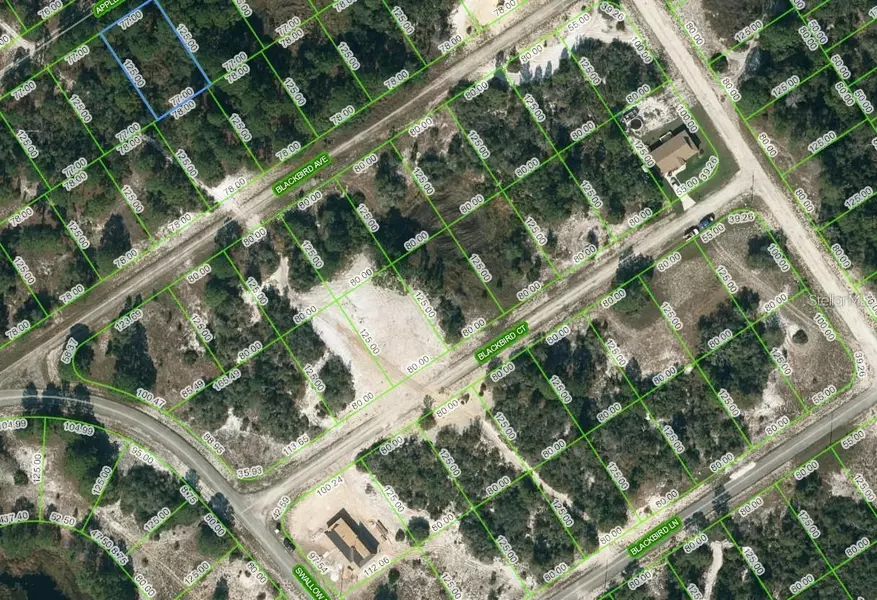 447 APPLE BLOSSOM CT, Lake Placid, FL 33852