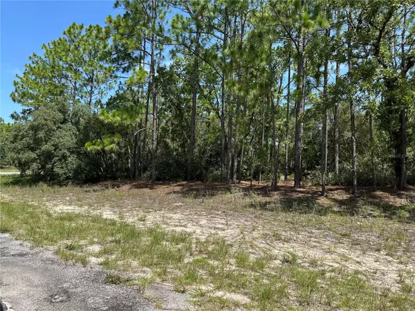 Citrus Springs, FL 34433,4053 W FIREWOOD LOOP