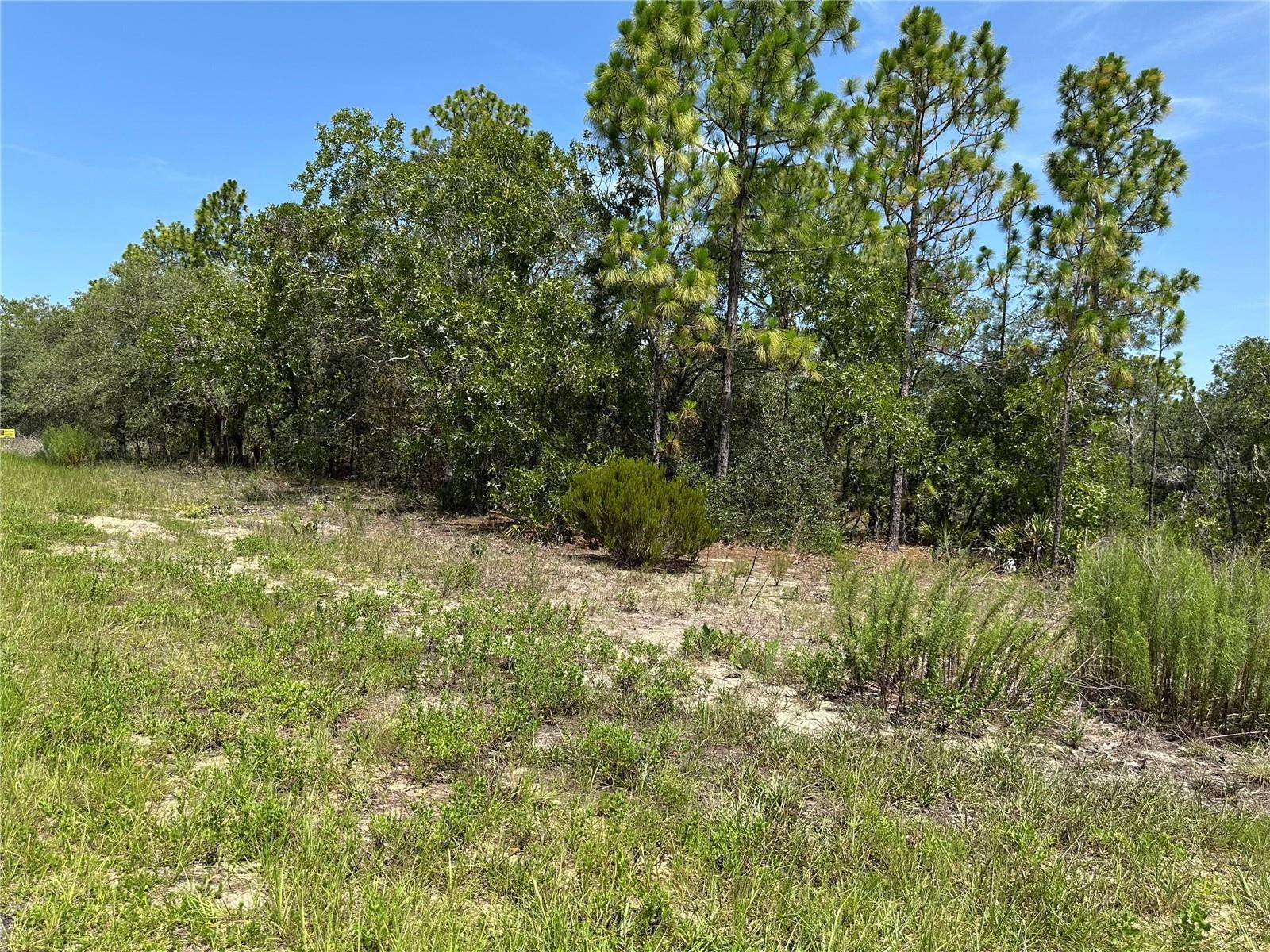 3803 W KEENE LN, Dunnellon, FL 34433