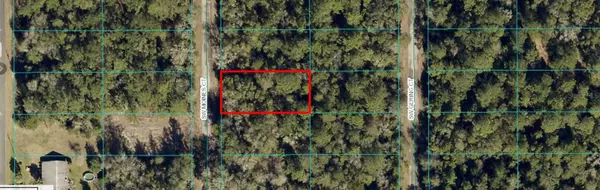 TBD SW MOINES CT, Dunnellon, FL 34431