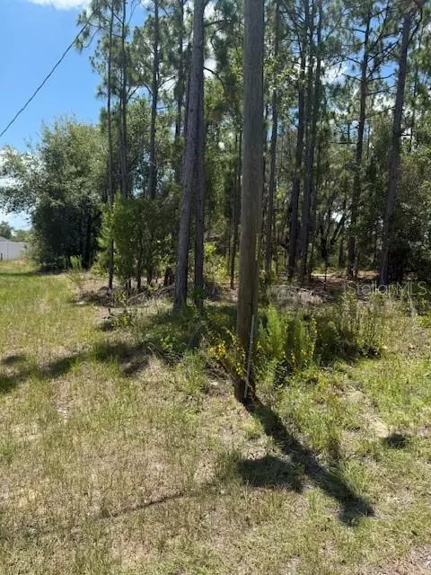 Ocala, FL 34472,TBD OAK LANE CIRCLE