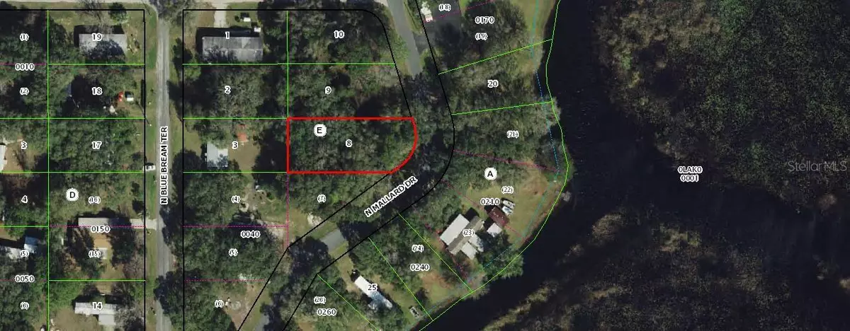 Hernando, FL 34442,6080 N MALLARD DR