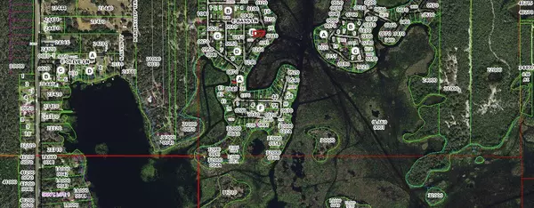 Hernando, FL 34442,6080 N MALLARD DR