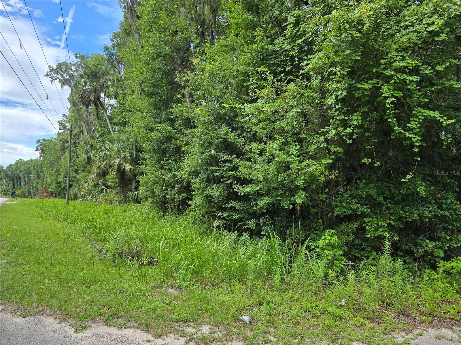 Micanopy, FL 32667,N HWY 329