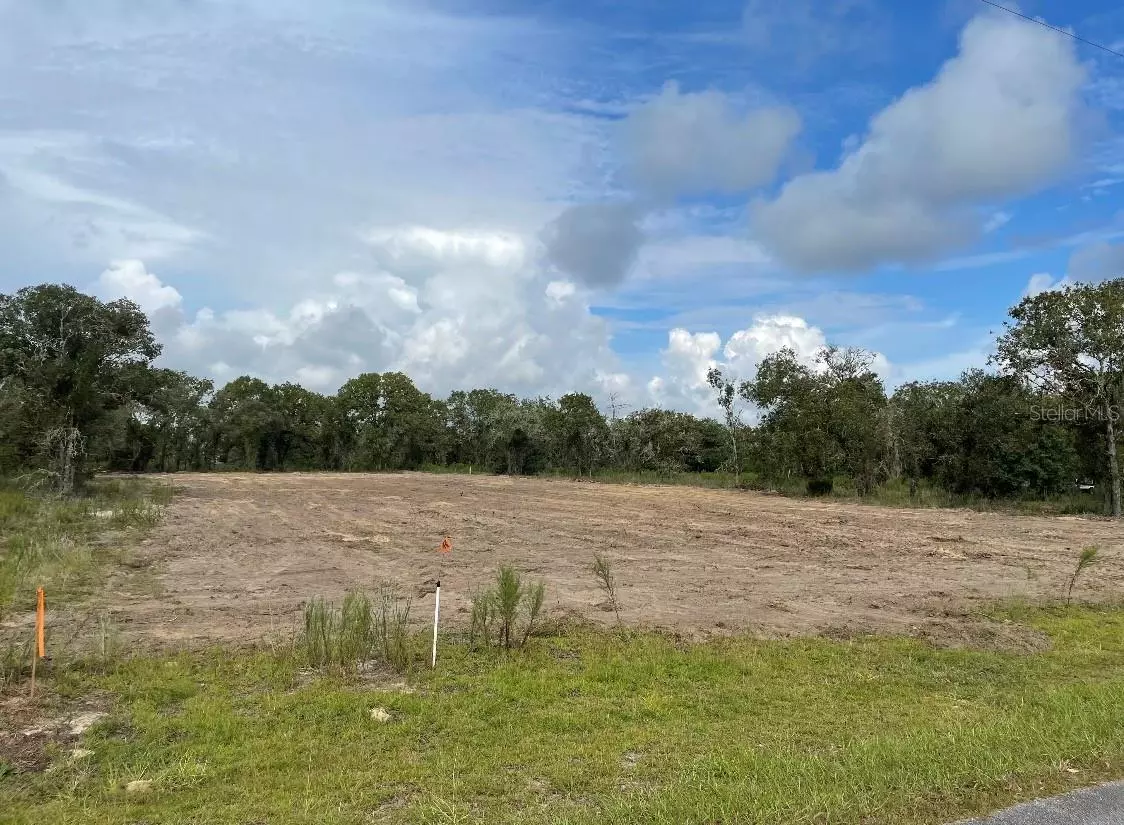 Dunnellon, FL 34431,4880 SW MARIGOLD CT