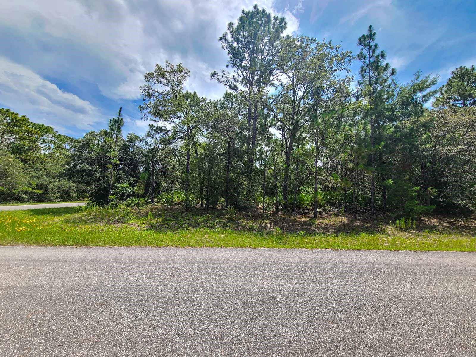 Dunnellon, FL 34434,6549 N WALTER TER