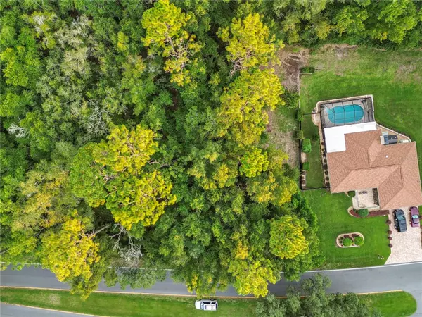 Citrus Springs, FL 34434,1974 W COUNTRY CLUB BLVD