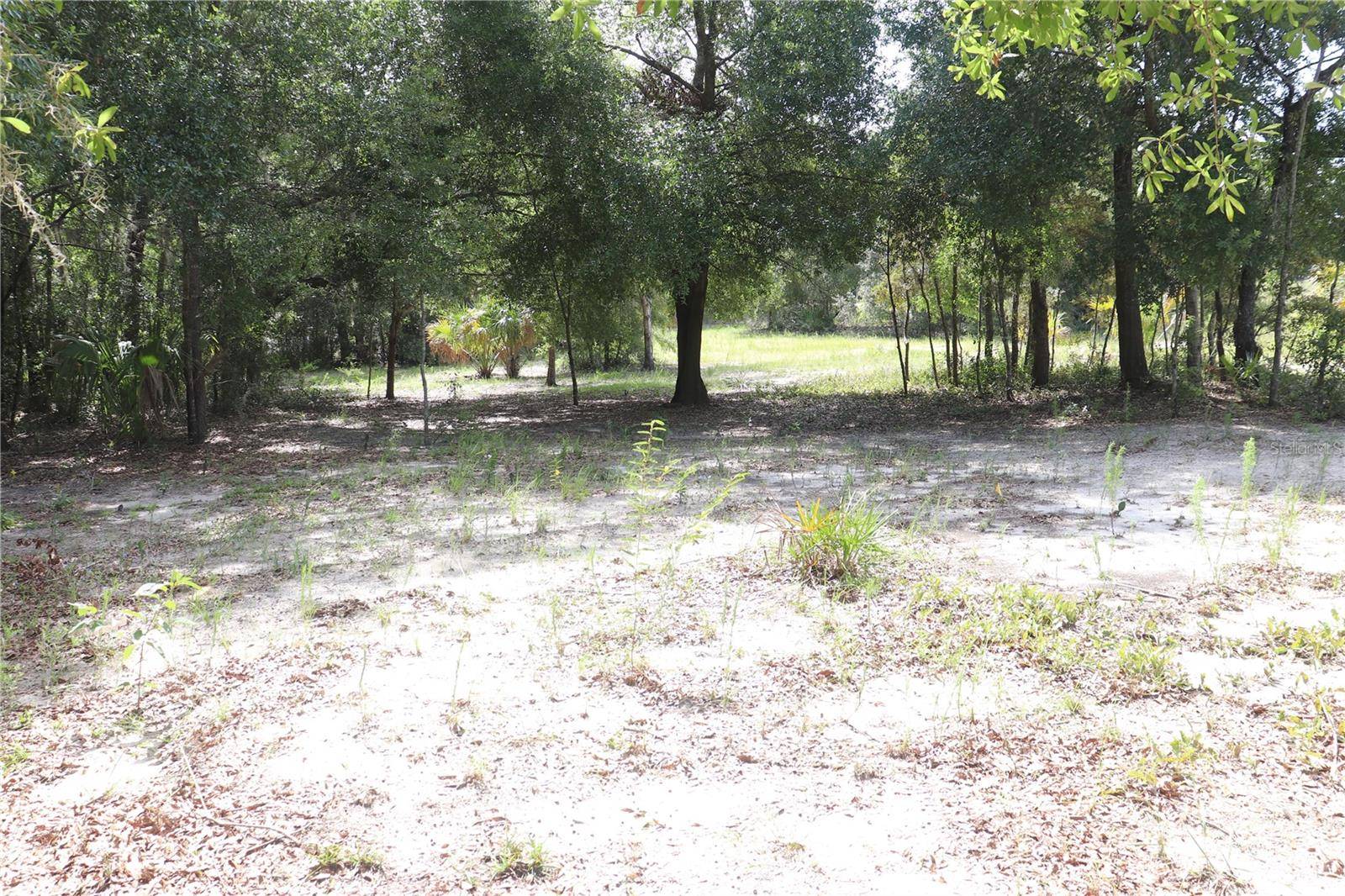 Dunnellon, FL 34433,11924 N BELLUZZI TER