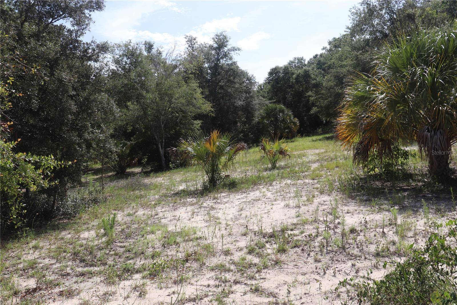 Dunnellon, FL 34433,11924 N BELLUZZI TER