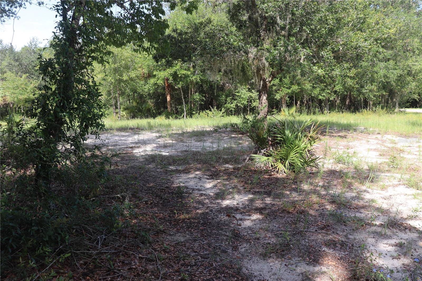 Dunnellon, FL 34433,11924 N BELLUZZI TER
