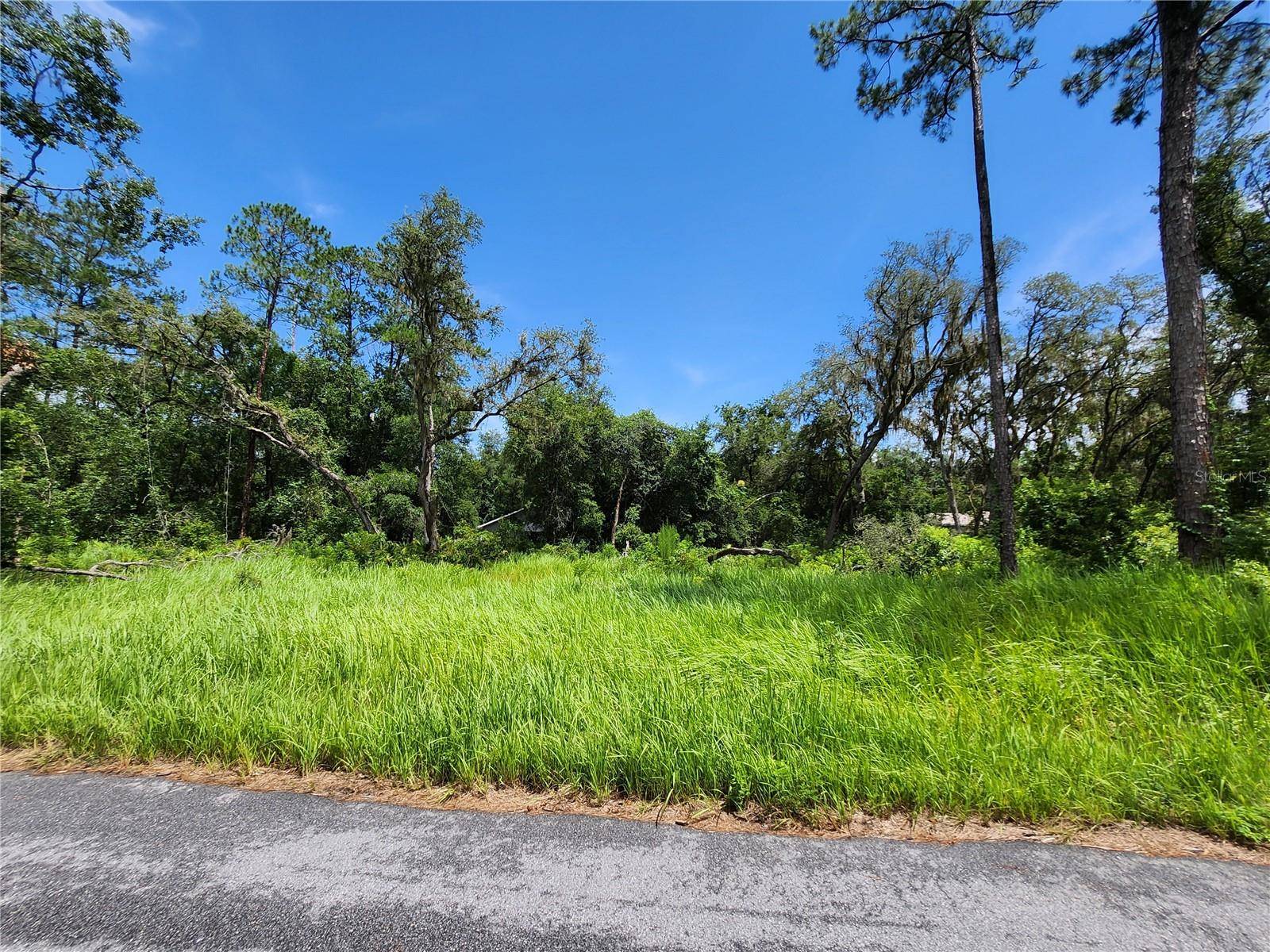 Ocala, FL 34472,TBD OAK LANE WAY