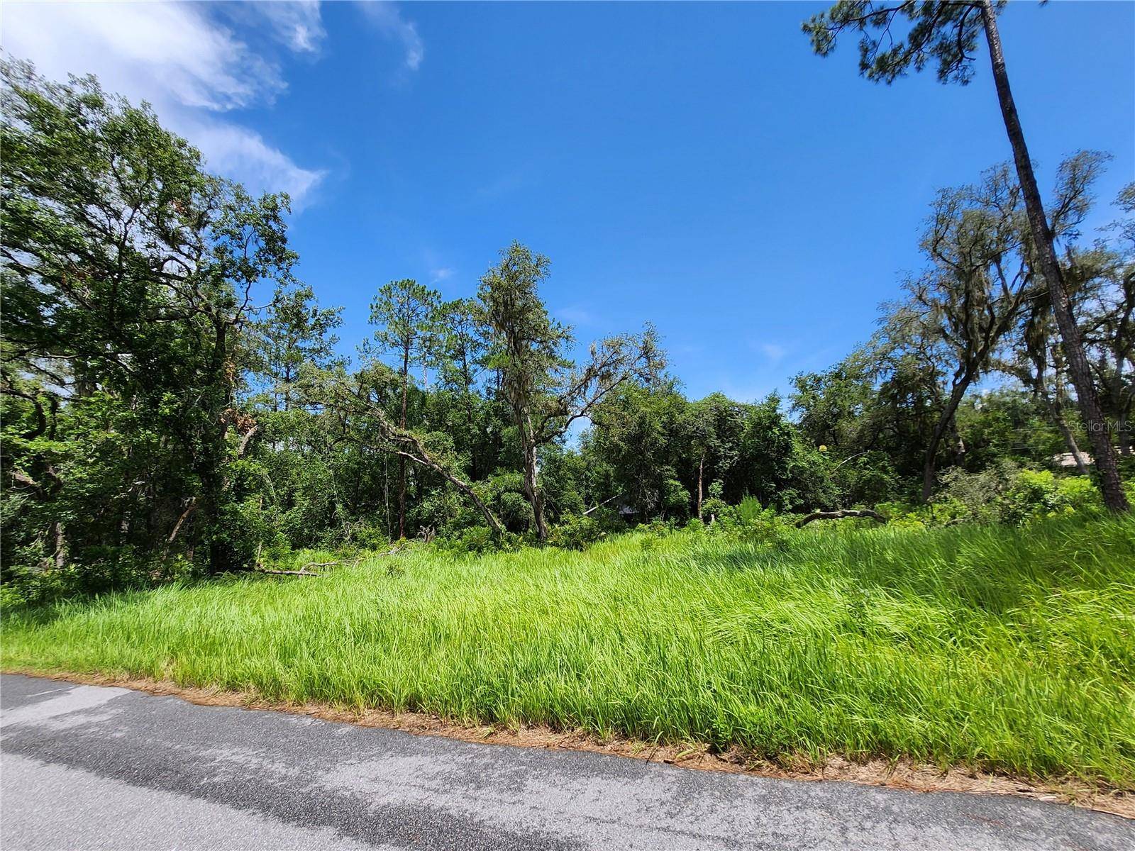 Ocala, FL 34472,TBD OAK LANE WAY