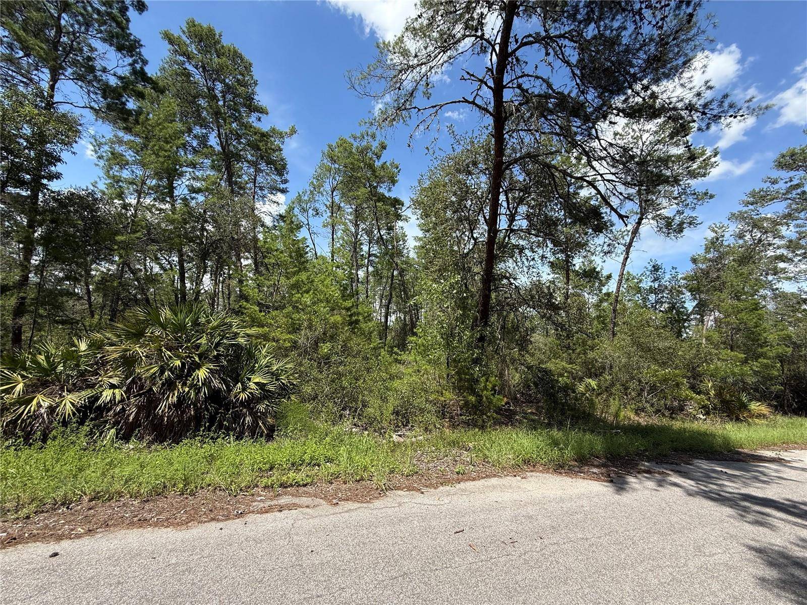 Ocklawaha, FL 32179,TBD FISHER TRAIL CT