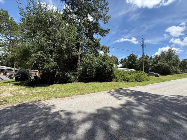 Ocklawaha, FL 32179,TBD SE 184TH TER