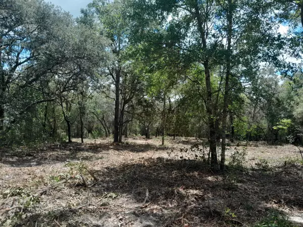 Bronson, FL 32621,tbd NE 105TH AVE