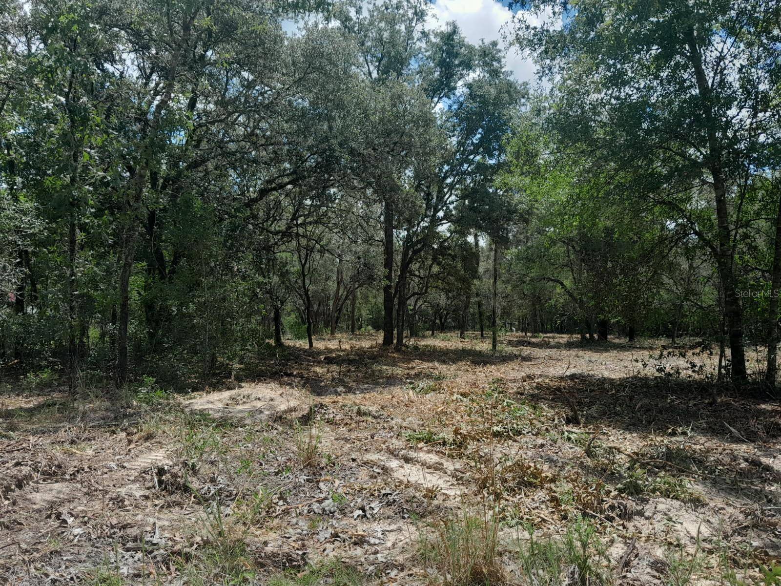 Bronson, FL 32621,tbd NE 105TH AVE