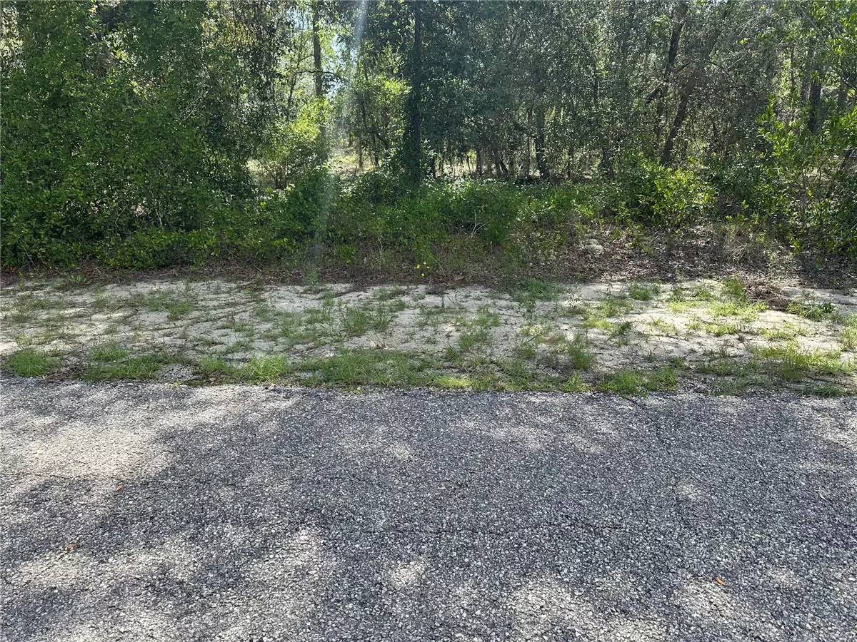 Dunnellon, FL 34431,SE 133RD AVE