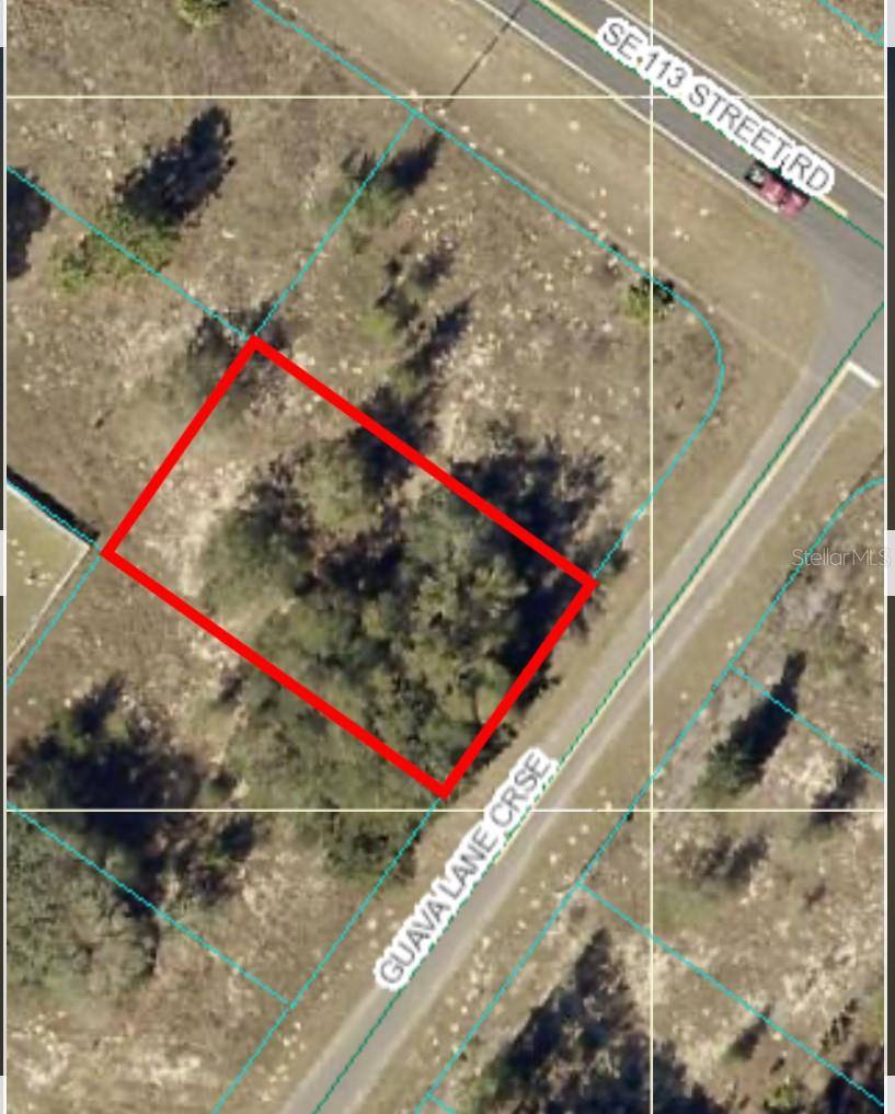 GUAVA LANE CROSS, Ocklawaha, FL 32179